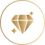 ic_pro