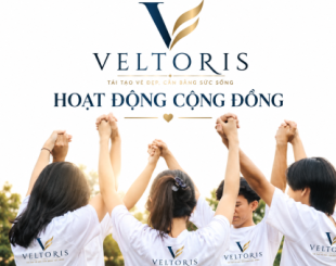 HOẠT ĐỘNG VELTORIS